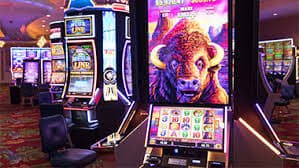 leon casino
